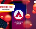Crypto30x.com Avalanche Network