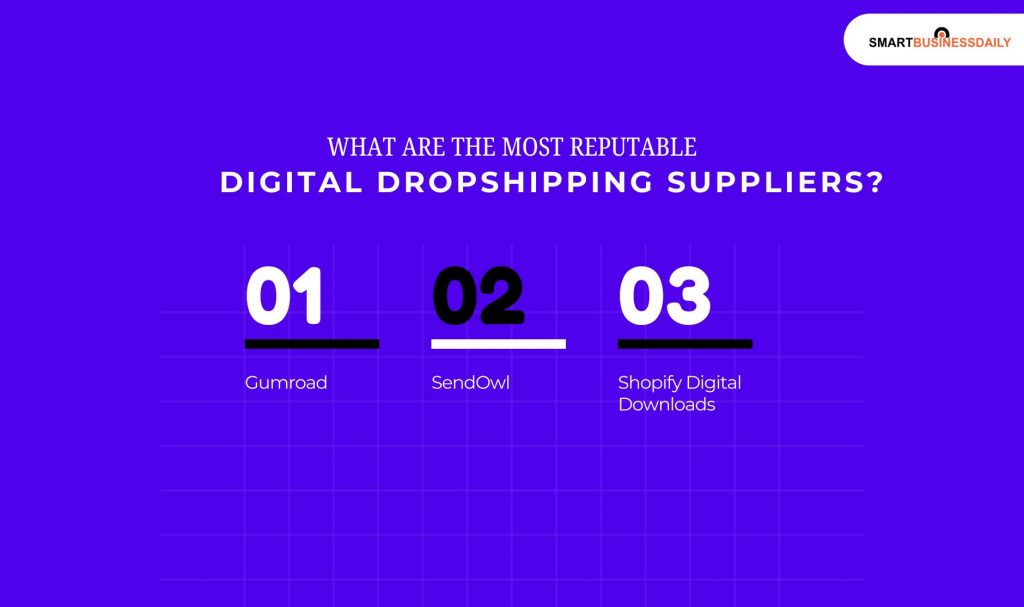 What Are The Most Reputable Digital Dropshipping Suppliers
